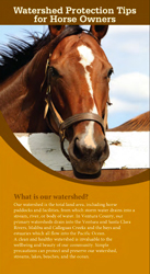 Watershed Protection Tips for Horse Owners