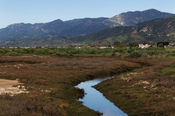 Wetlands