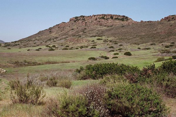 Wildwood Mesa