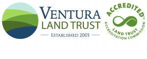 Ventura Land Trust Logo